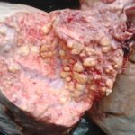 Eating infected meat (4)