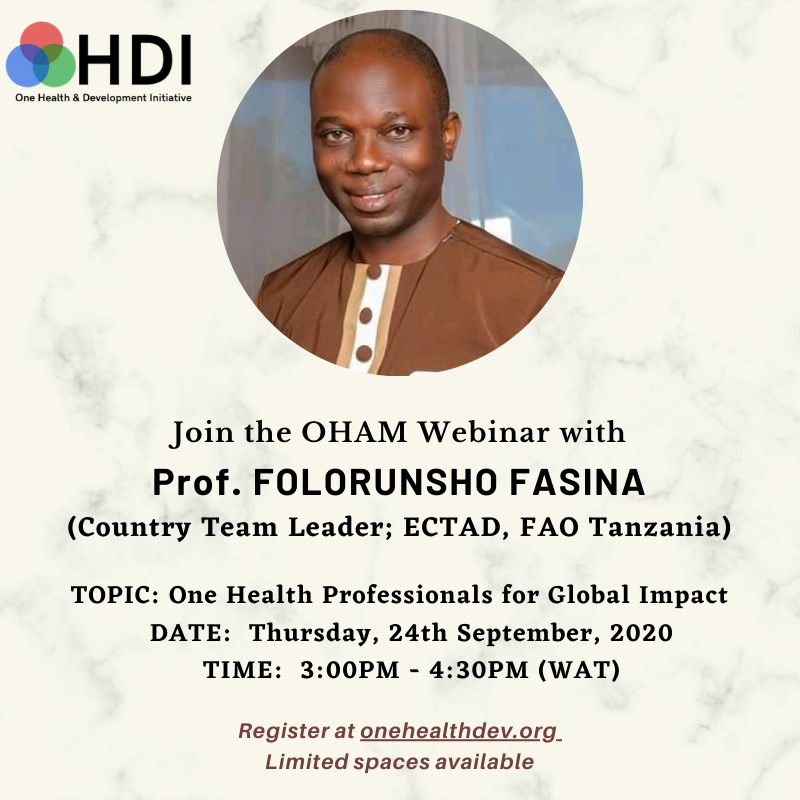 OHAM Webinar E-Flyer - Prof Fasina