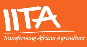 IITA logo
