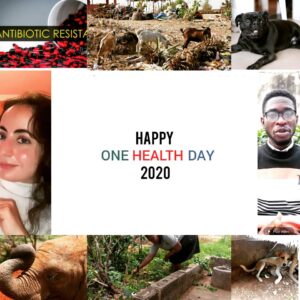 One Health day