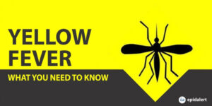 Yellow fever alert