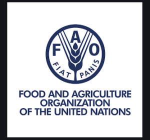 FAO logo