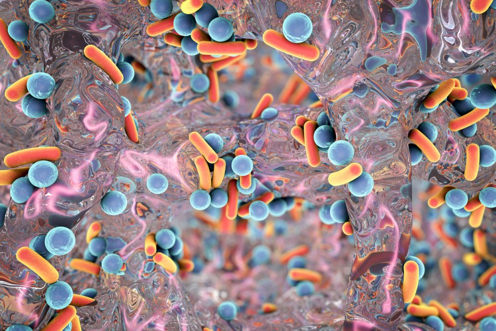 antibiotic resistant microbes
