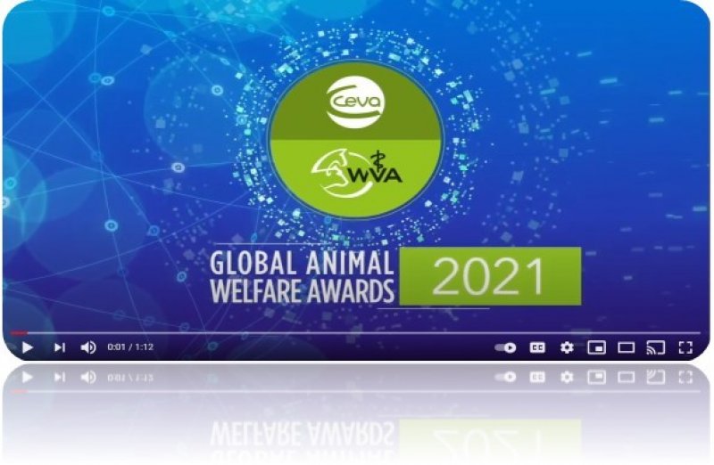 Global Animal Welfare Awards logo