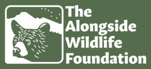 alongside wildlife foundation