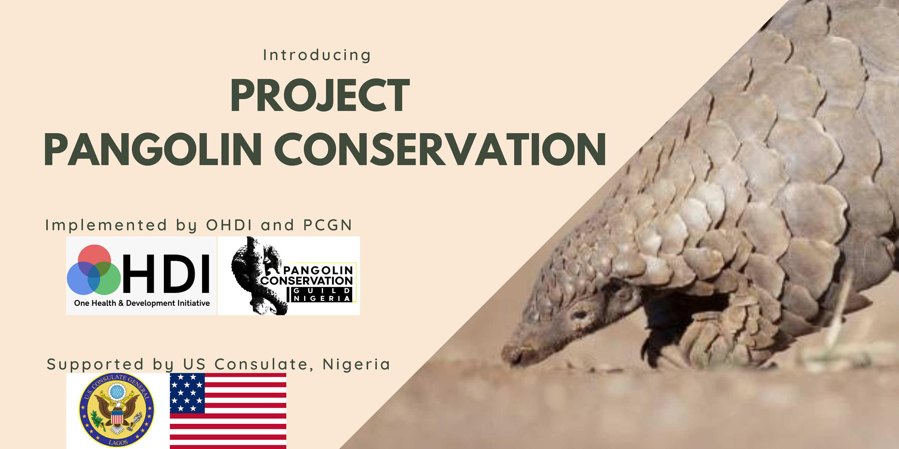 Project Pangolin Conservation
