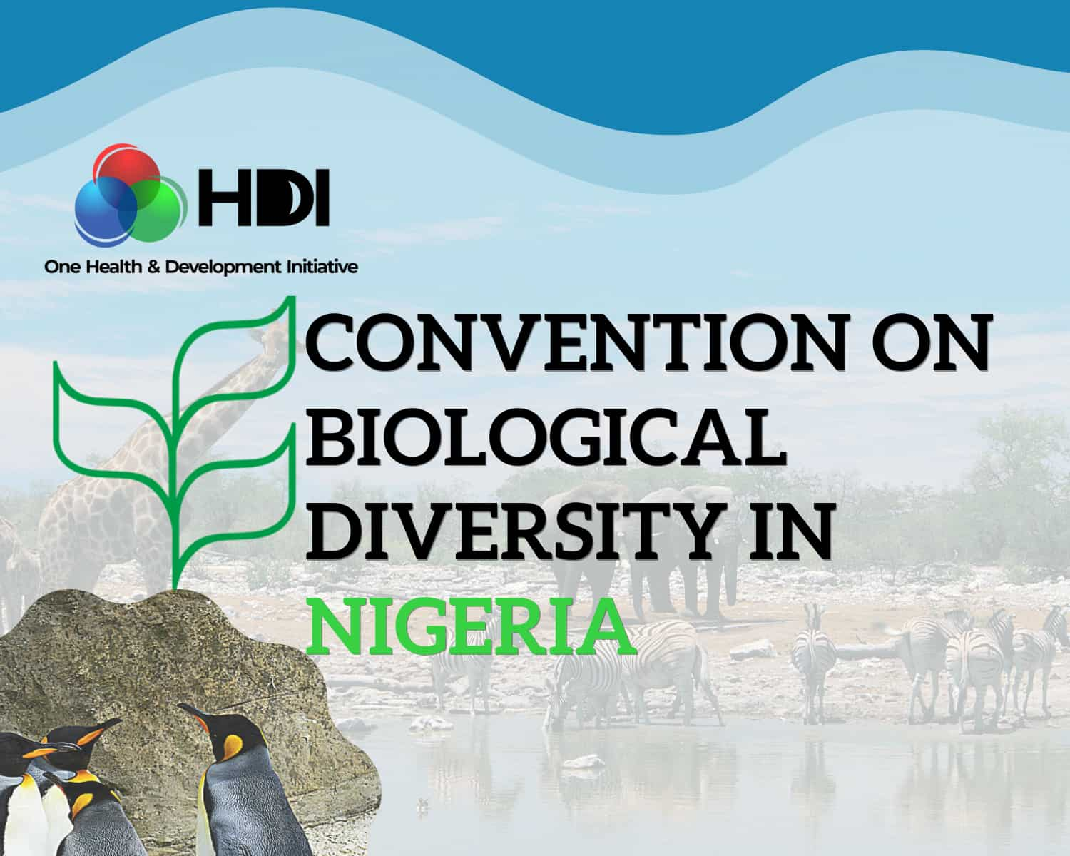 Graphic: Presence of Convention on Biological Diversity in Nigeria