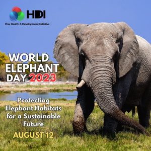 Graphic of the World Elephant Day