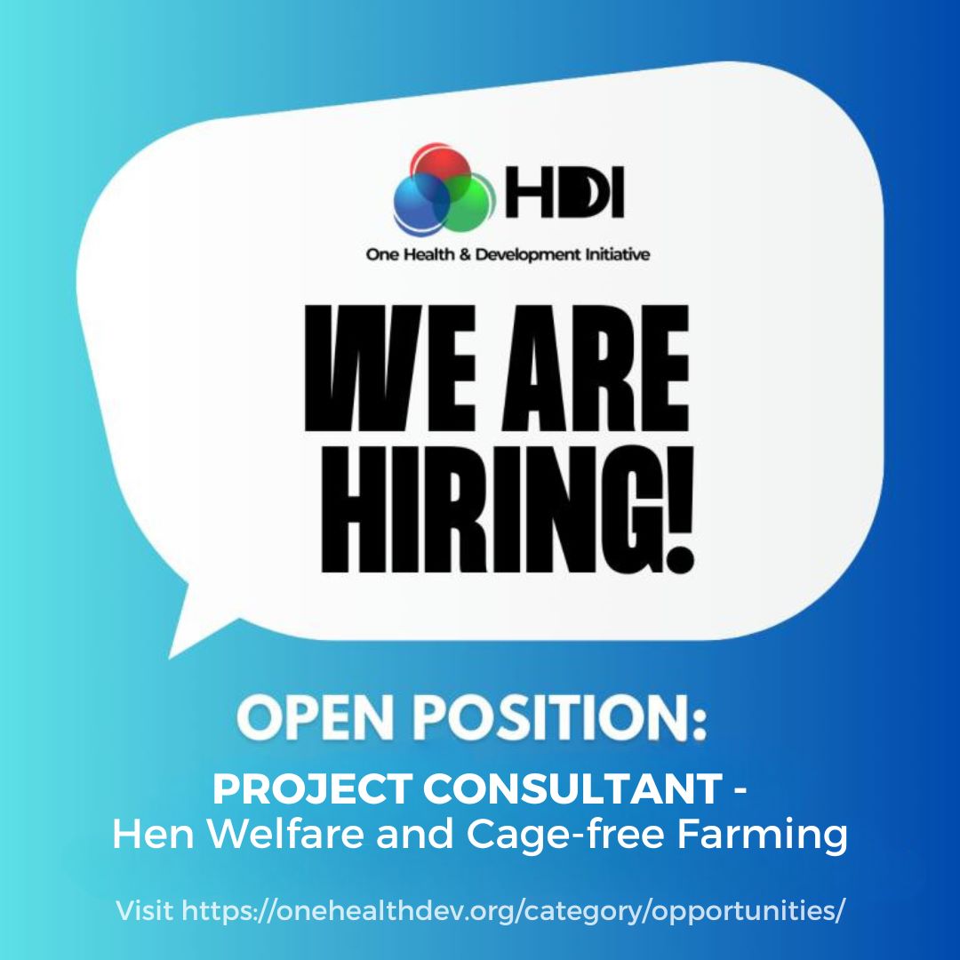 Graphics for a Call for a consultant for the Hen Welfare and Cage-free farming