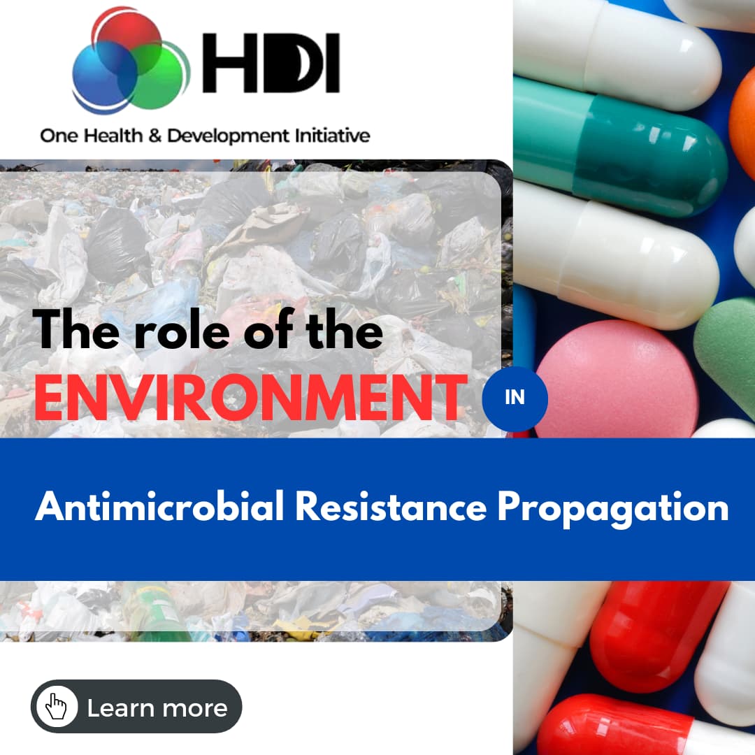 Graphic for the role of the Environment in Antimicrobial Resistance Propagation