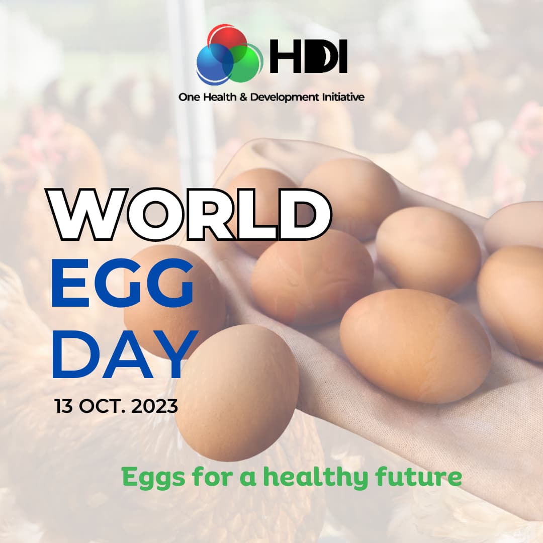 Graphic for the World Egg Day