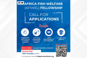 Cal for applications AFIWE fellowship