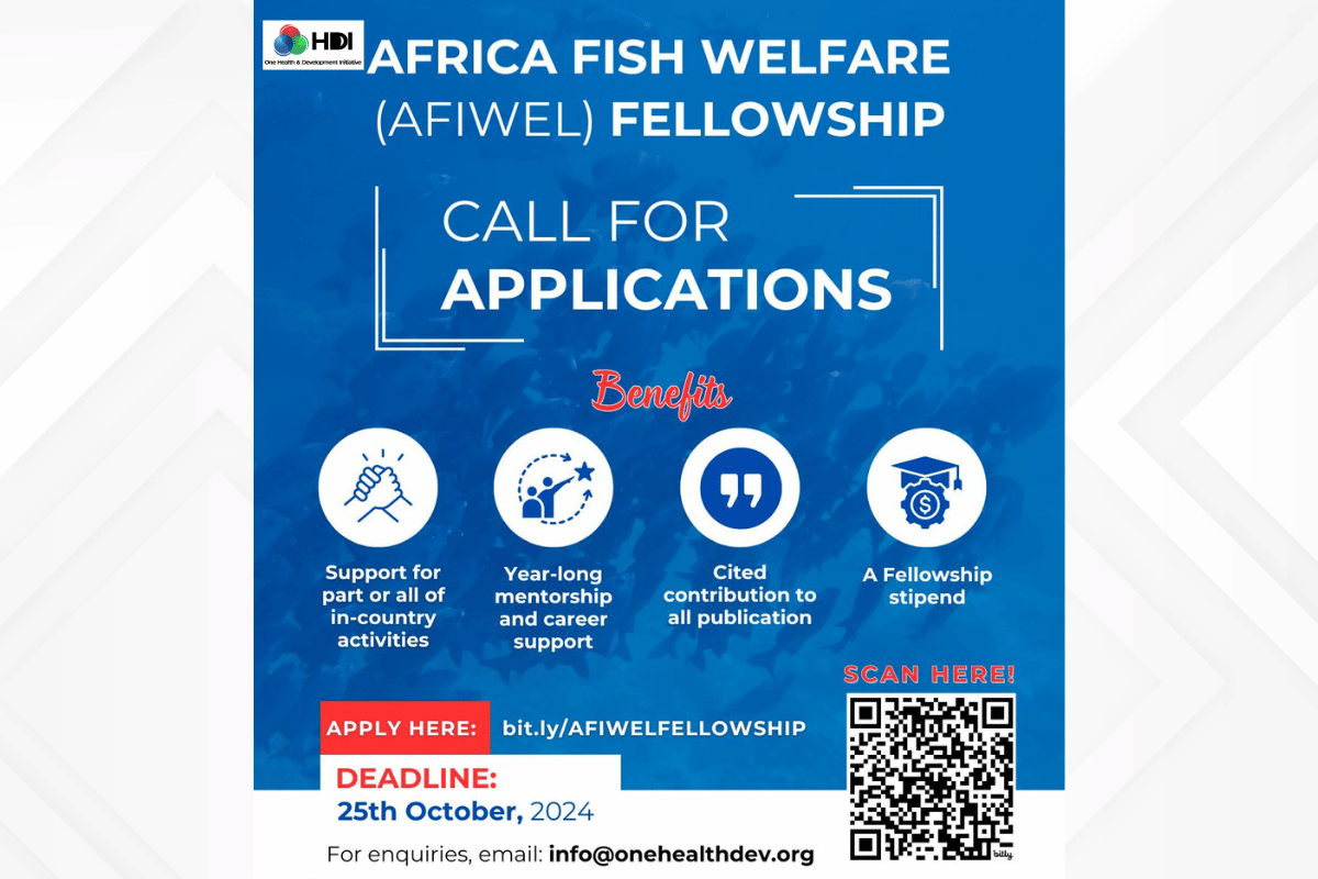 Cal for applications AFIWE fellowship
