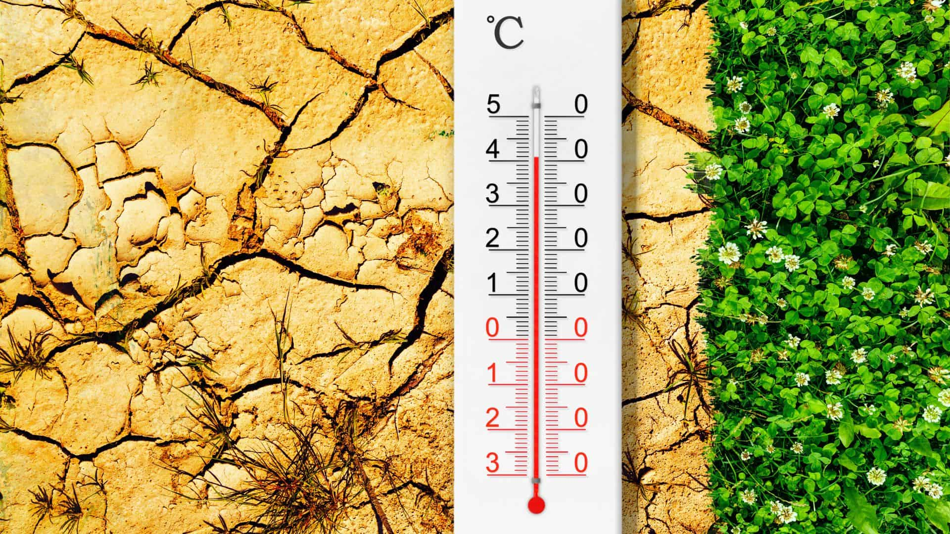 Climate change and zoonotic disease.