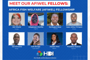 AFIWEL Fellows