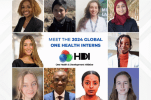 Announcing our 2024 global interns