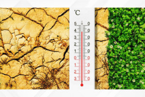Climate change on zoonotic diseases