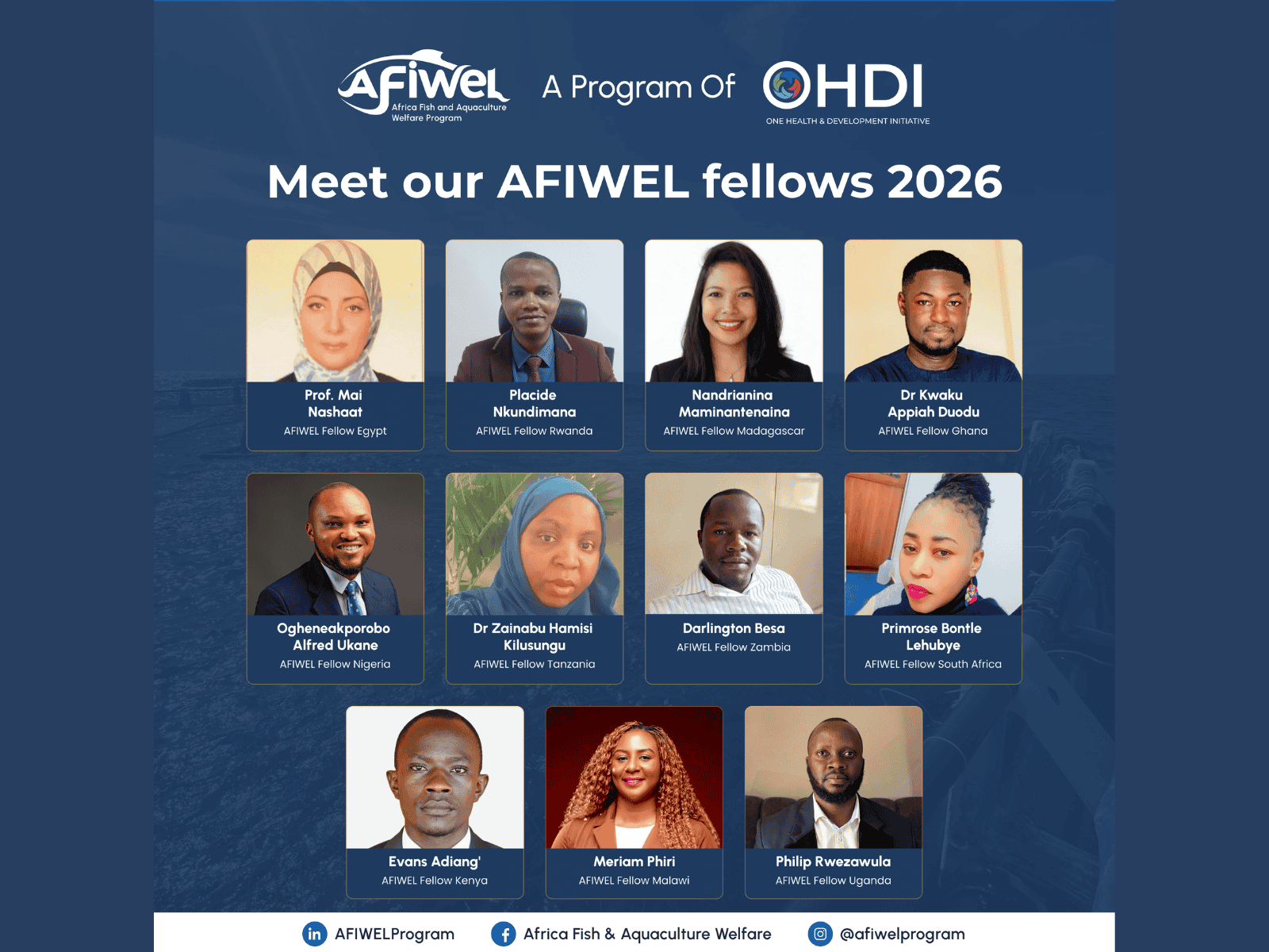 Meet the 2026 AFIWEL Fellows